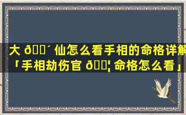 大 🌴 仙怎么看手相的命格详解「手相劫伤官 🐦 命格怎么看」